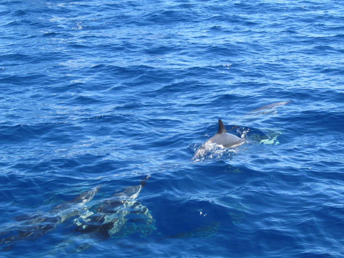 azores