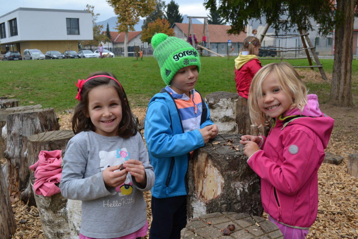 20161013-kostanjev-piknik-3