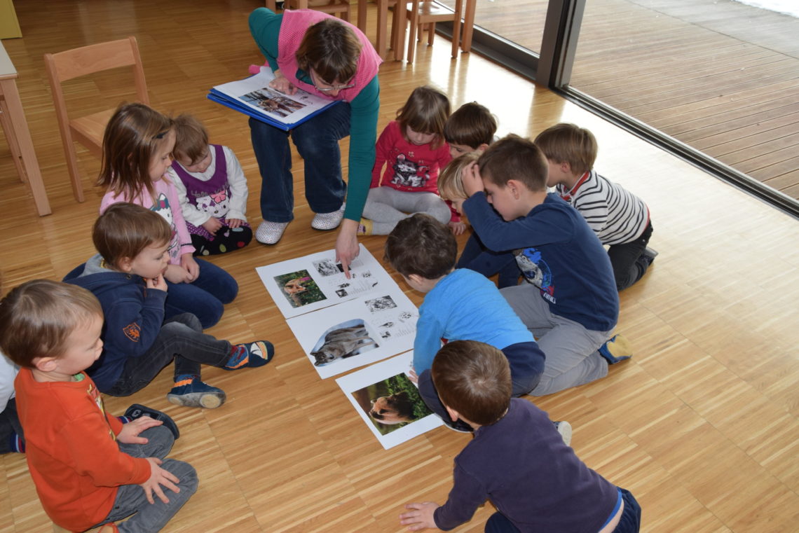 20170119_Gozdna_pedagogika_VS (3)